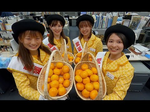 みかんです。 みかん様 みかん様 ミカン様 ミカン様 蜜柑様 レビュー