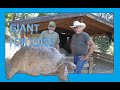 S04E11 - GIANT TORTOISE