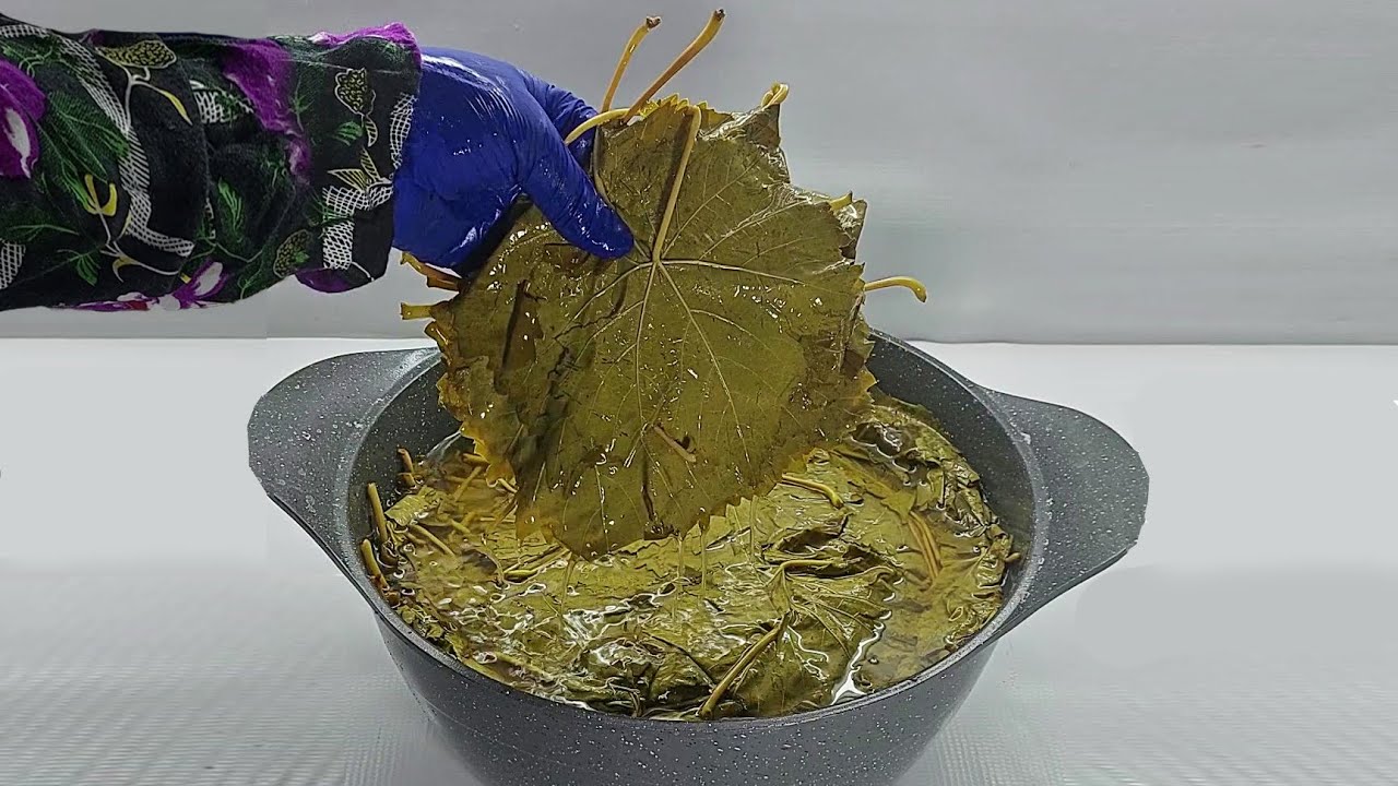 اوعى تفرزى ورق العنب تانى فى الفريزر❗️ندمانه انى كنت بعمل كده هقولك على فكره تخليه بلون وطعمه سنتين