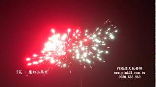 2019100204