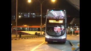 SBST Bus Service 291 [SBS3773J]: Tampines Int → Tampines St 33 (East Loop)