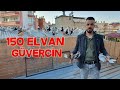 Yalçın Ustanın Elvan Güvercinleri