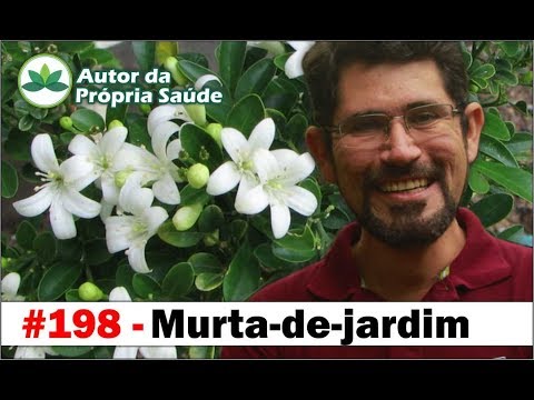 Vídeo: O Que é Murta