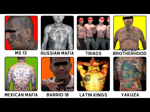 Gangs and Their Tattoos 本 Gangs and Their Tattoos: Identifying Gangbangers on the