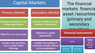 the financial markets instruments direct and secondary securities /  money and banking.