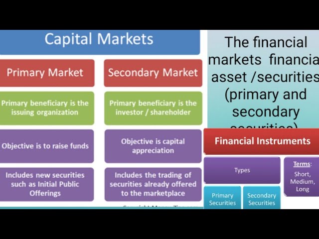Types Of Primary Market Instruments