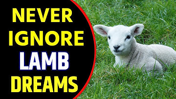 Seeing Lamb in Dream Meaning | Lamb Dream Interpretation