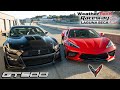 C8 CORVETTE VS 2020 GT500 // Track Battle