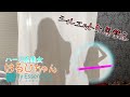 【My Essentials】布1枚だけ!あれもこれも丸見えですww【シルエット生着替え】