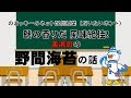 美浜町の「野間のり」の話