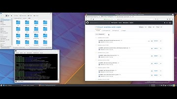 Become a Developer 4: Cherry-pick && repopick