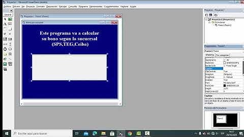 Visual Basic/ Diseño interfaz de formulario