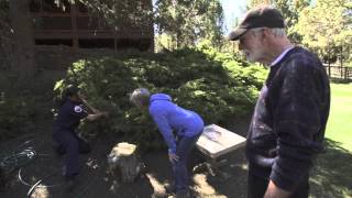 Defensible Space around your Home