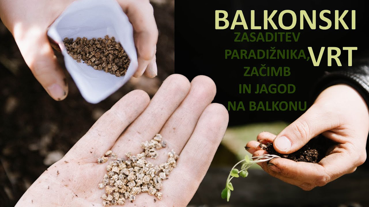 Kako urediti balkonski vrt | Zasaditev paradižnika, jagod in začimb na balkonu | Mami na vrtu