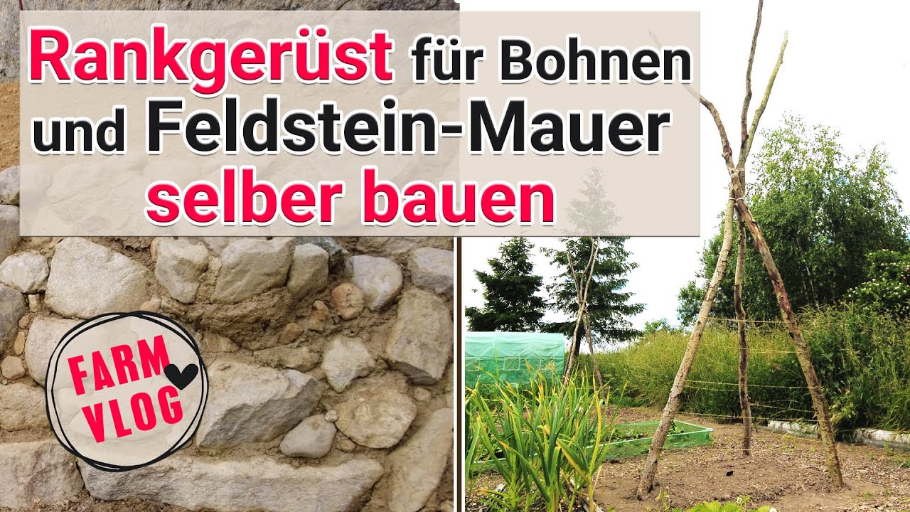 46+ Rankgerüst Für Bohnen, In diesem beitrag zeigen wir.