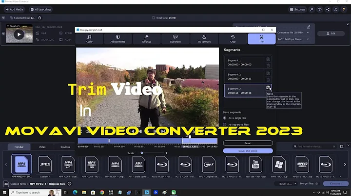 Trim Video In Movavi Video Converter 2023