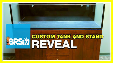 Week 2: Unveiling the tank and custom built stand | 52 Weeks of Reefing