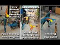 Public With Dog Safety Program । Abc Dog Catch Davanagere City vlogs 💕#vlog #dog #rescue #catching