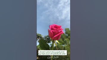 الحمد لله رب العالمين 😢☝️ || تلاوة عطرة مؤثرة ماهر المعيقلي || حالات واتس اب دينية ستوريات أنستا 💙