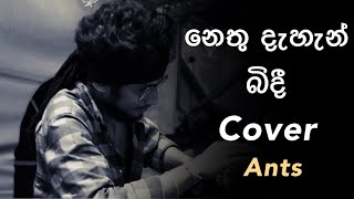 Video thumbnail of "Nethu Dahan Bindi (නෙතු දැහැන් බිඳී) cover by Ants Band Srilanka"