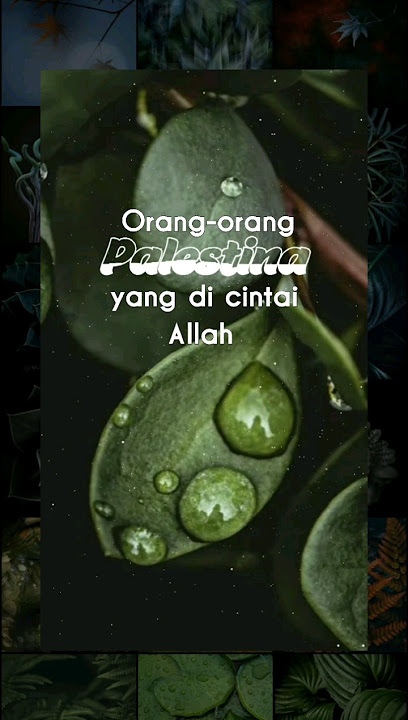 Orang-orang Palestina yang Allah Cintai | Ust Rahmat baequni #ceramahsingkat #storywa #palestina