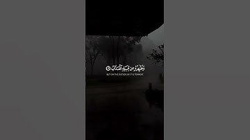 محمد النقيدان : سورة | الحديد #قرآن