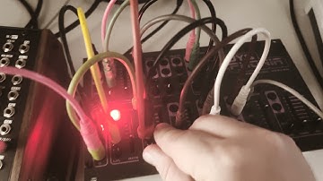 Dreadbox Dysphonia Bass Patch with Moog DFAM