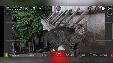 TelloFPV App PG-9078 Compatibility and Flight Test