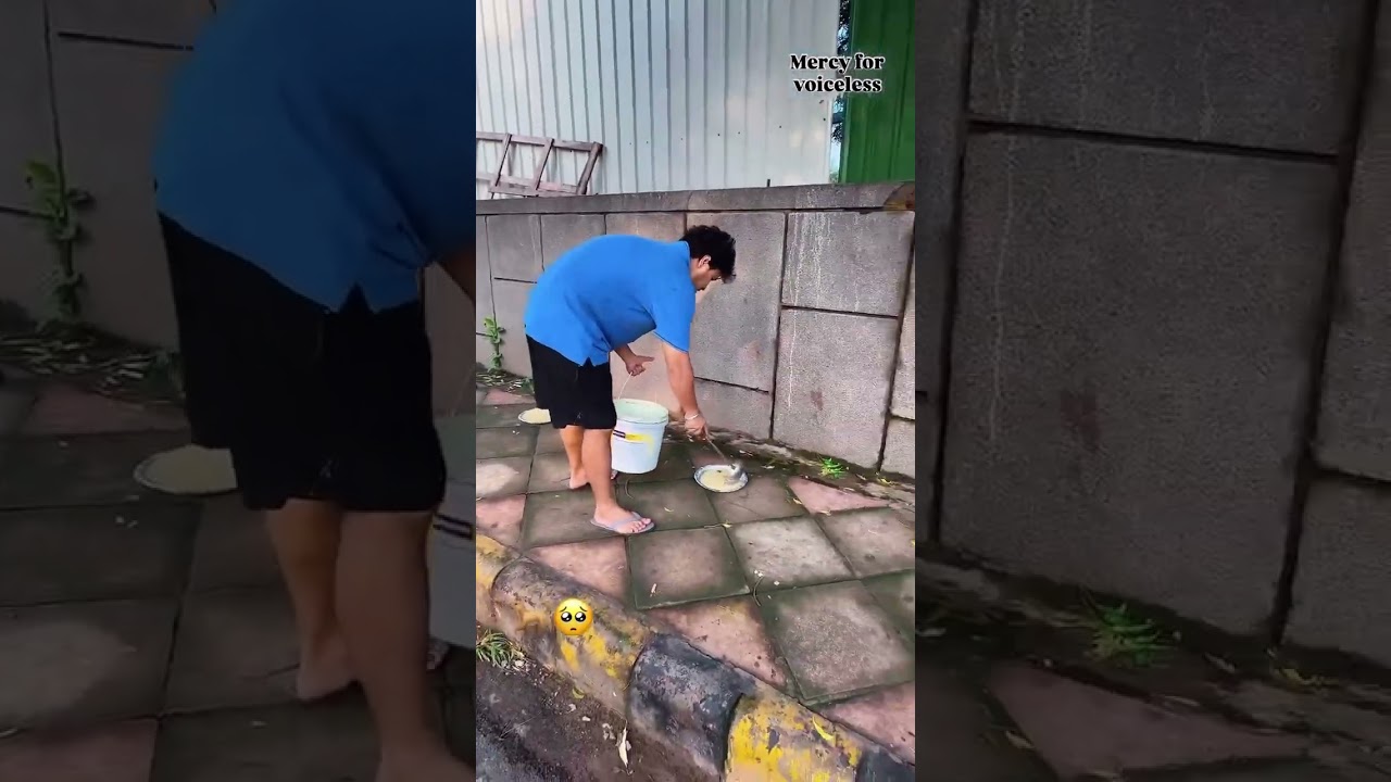 ❤️नया🐶🐕सदस्य🧿💯