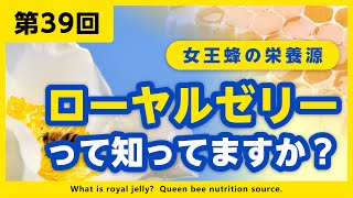 【第39回】ローヤルゼリーって知ってますか？ ～女王蜂の栄養源～