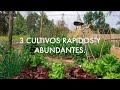 El Huerto en tiempos de Caos. Soberanía alimentaria. 3 Cosas para cultivar rápido y en Abundancia.