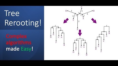 Tree Rerooting | DP on trees | Advanced algos made easy!