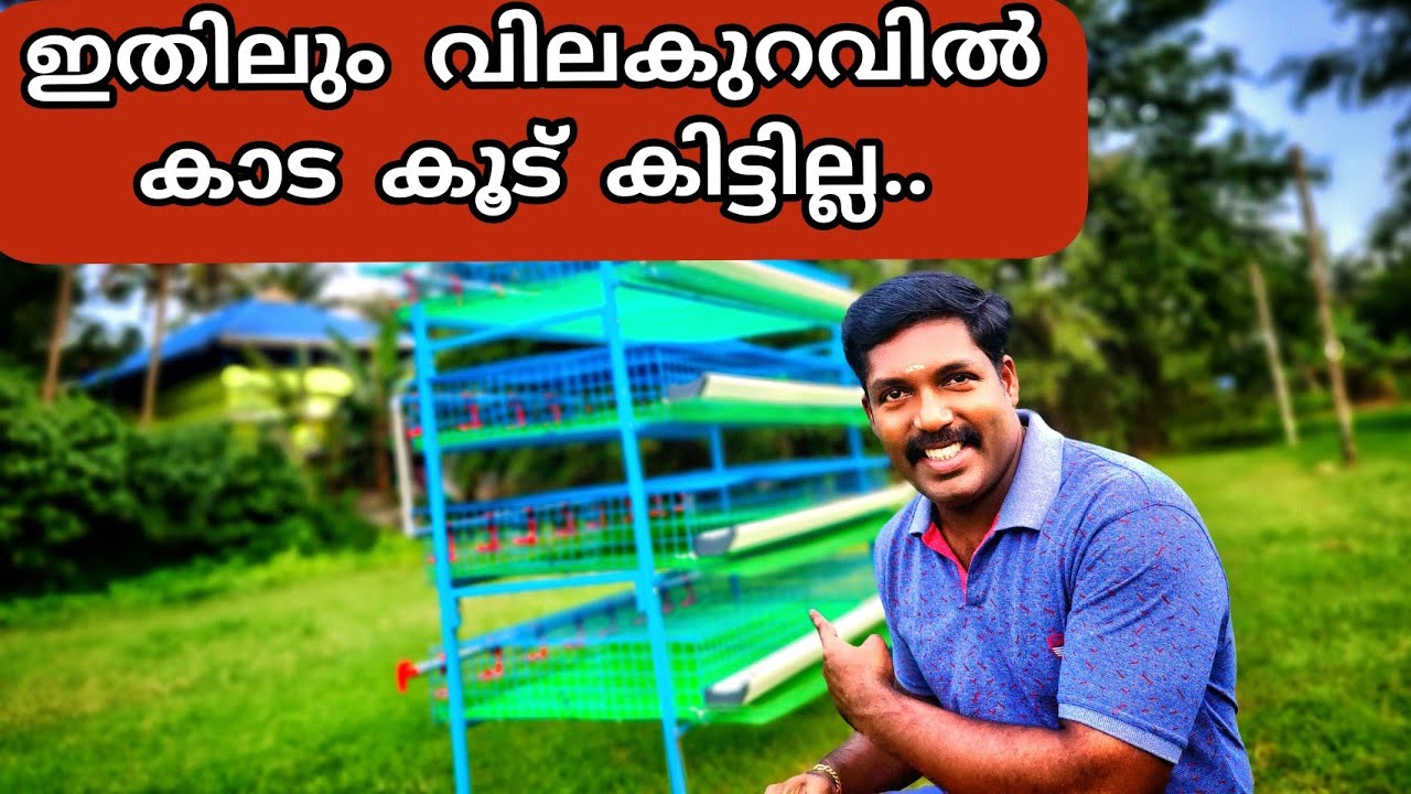 വിലക്കുറവില്‍ ഫ്രീഡം പൌള്‍ട്രിയുട കാട കൂട് വീട്ടിലെത്തും Hi Tech quail cage of Freedom poultry cages