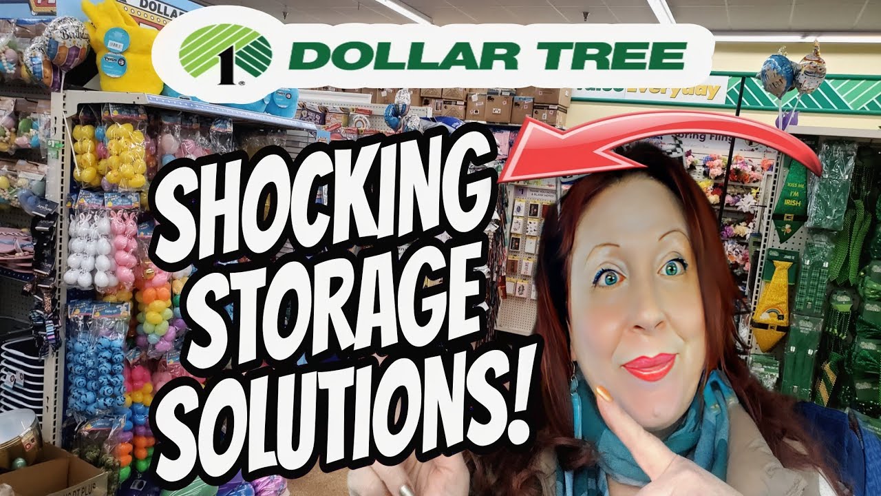 The New 1.25 Dollar Tree Storage Solutions are Actually Amazing & so