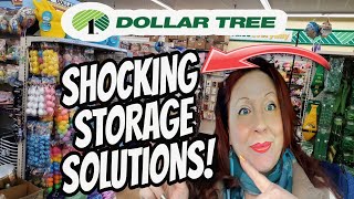 The New 1.25 Dollar Tree Storage Solutions are Actually Amazing & so much more