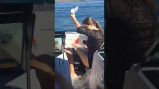 Super Air Nautique 230