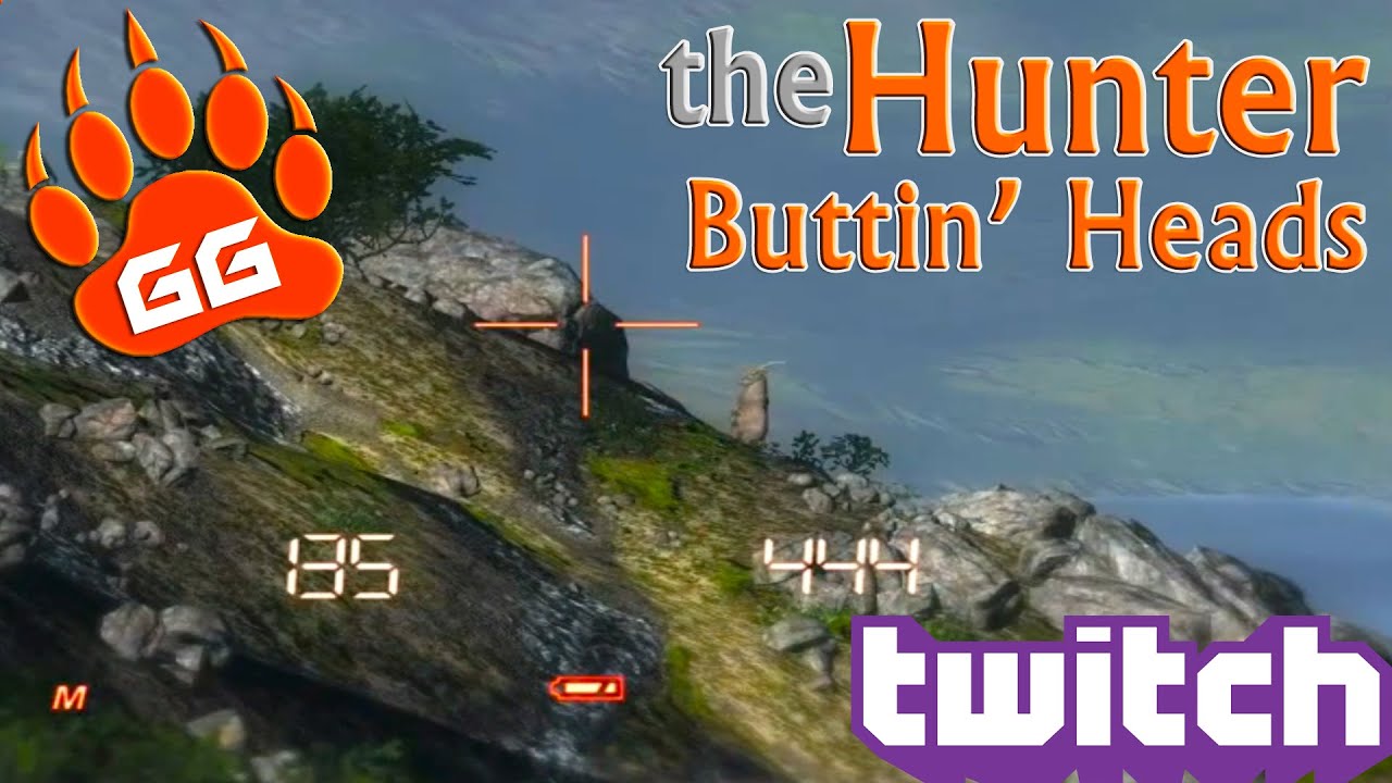 theHunter - Alpine Ibex Buttin' Heads!