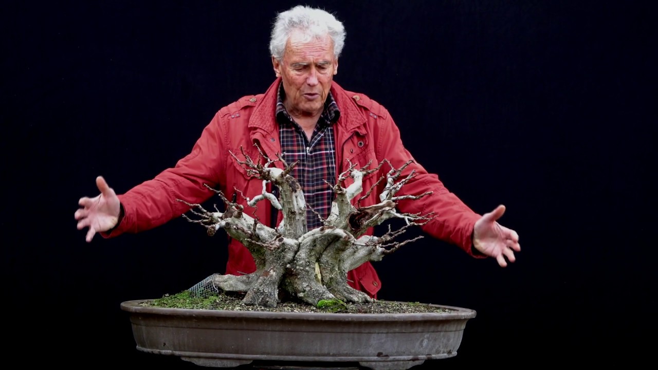 SandevBonsai - 2018. Bonsai sessions with Walter Pall/Part 11