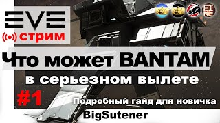 EVE Online. Что делать новичку в флотах? Bantam. Попытка 1