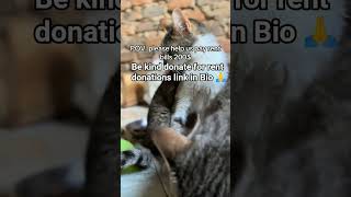 Donate for rent 200$ #donate