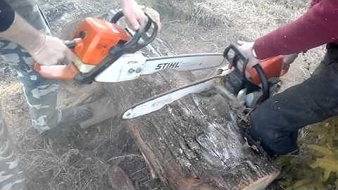 stihl ms 290 vs ms 039/jazbec vs drekson