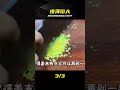 肉餅皮薄餡大又柔軟,秘訣全在和面 #肉饼做法 #皮薄馅大 #面食教程 #家常菜 #手工面食