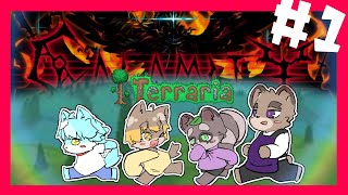 【 Terraria / Calamity 】初心者二人連れて最難関mod！？！？ ／ 朝陽はる 【 ケモノVtuber 】