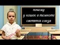 ЕваПочемучка  - почему у кошек в темноте светятся глаза