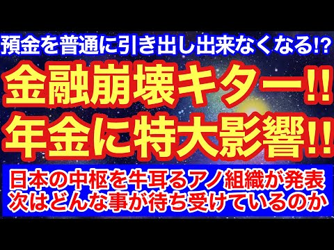 金融崩壊キターー‼︎‼︎国民の年金が人質に…AI暴徒と金融崩壊のシナリオ
