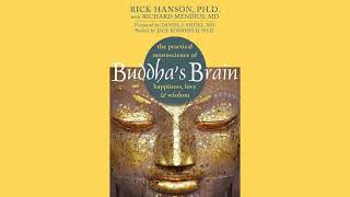 Buddha’s Brain by Rick Hanson | Summary