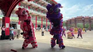 20240511桃園聖敬會祥獅戰鼓團|路通貨運公司|南巡一日遊《麻豆代天府》