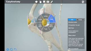 3D Canine Anatomy App for Veterinarians | EasyAnatomy screenshot 5