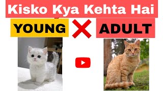 Kiso Ko Kya Kehta Hai General Knowledge Learning With Alom