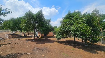 Bán vườn trái cây giáp suối có ao cá ở Bình lộc Tp.Long khánh giá rẻ .